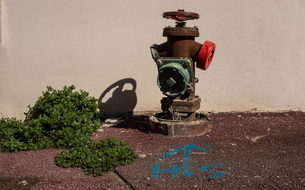 Hydranten sind schließlich auch nur Menschen