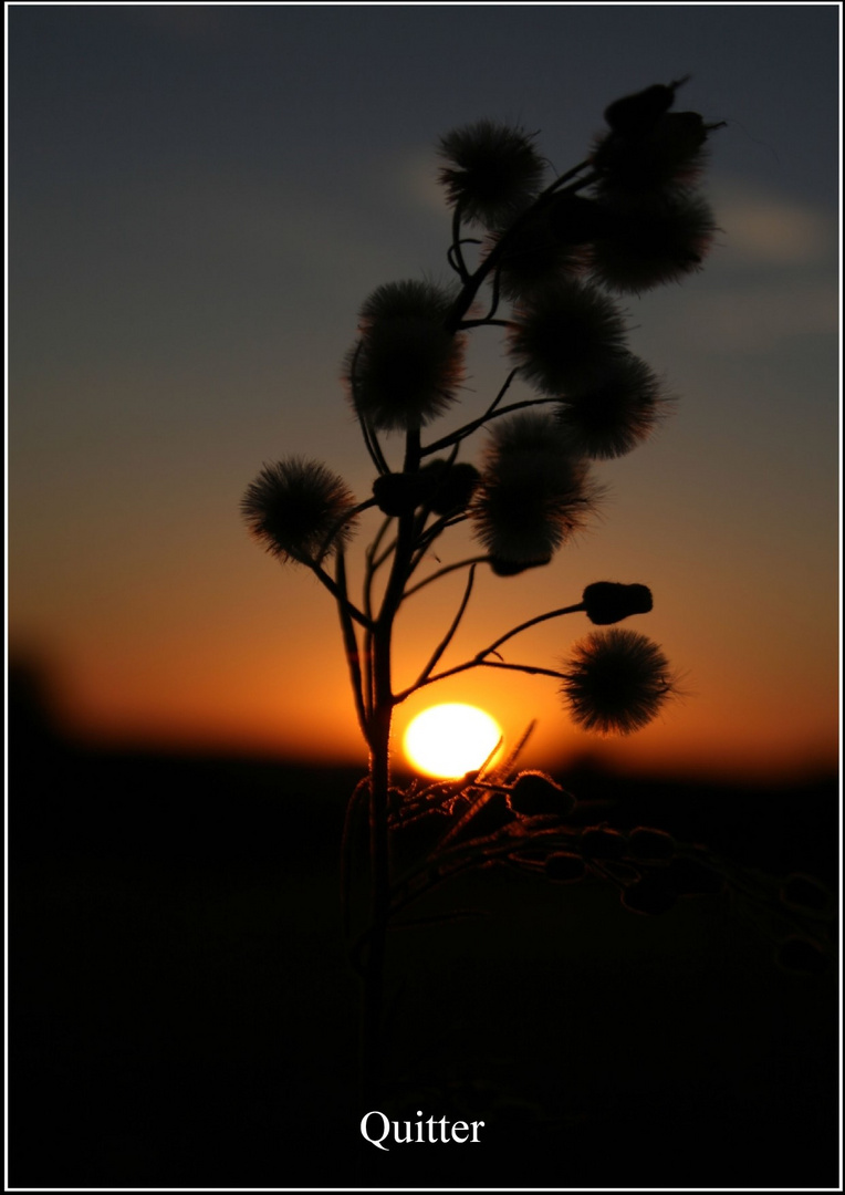 hymne au soleil