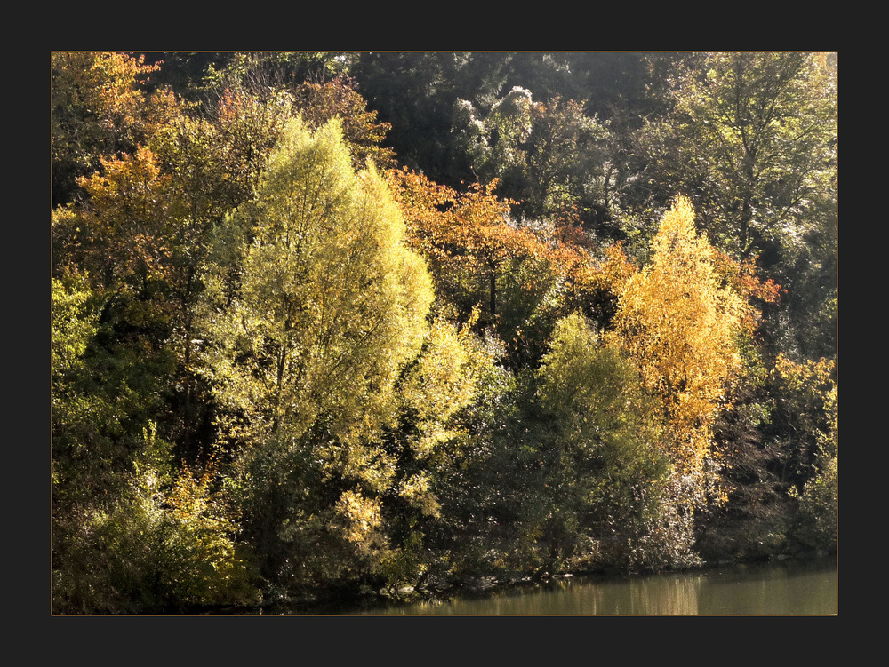 HYMNE AUS FARBEN UND LICHT