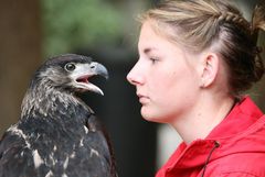 ... Hypnose und (nächstes Foto) ..