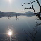 Hypo Lake Pilanesberg