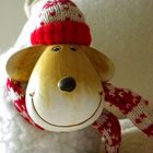 User Profile Photo