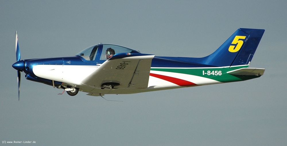 I-8456 Alpi Pioneer 300 Hawk