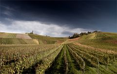 °°°~~i--&#8776;&#8776;&#8260;ii °°°