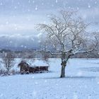 i am a rock , a winter´s day