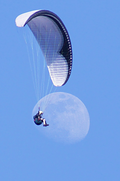 I am chained to the earth to pay for the freedom of my eyes. - Antonio Porchia (300mm) von Franz M. Michel