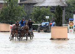 I am drivin´in the rain...