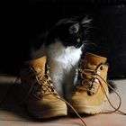 I am not too big for my boots