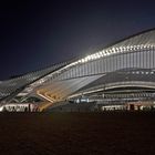 I am the sciencefiction by Calatrava