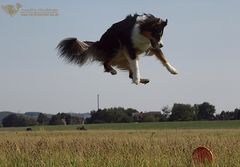 I believe I can fly...