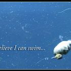 I Believe I Can Swim...