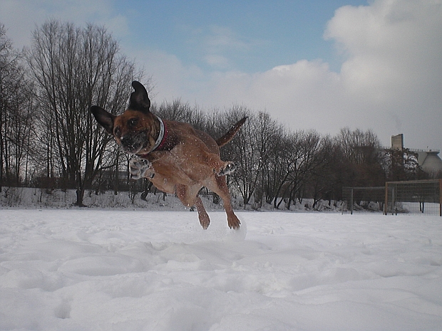 I belive I can fly :)