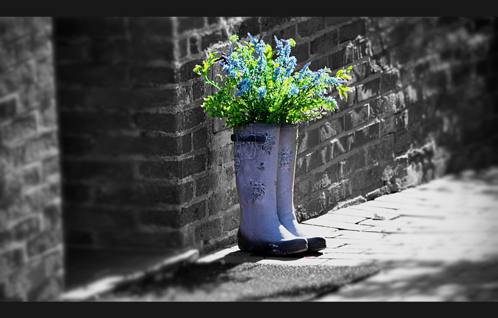 I C H H A B N O C H G R U N Z E U G I N D E N S C H U H E N A U S Foto Bild Flower World Spezial Bilder Auf Fotocommunity