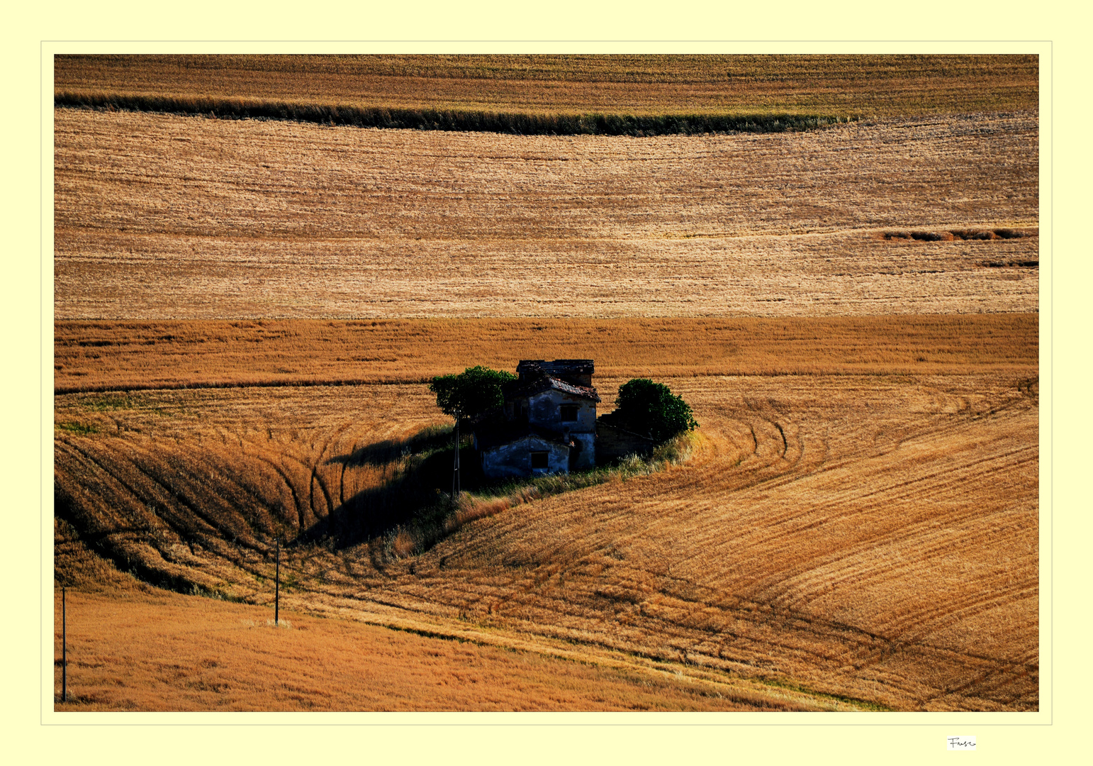 i campi di grano