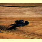 i campi di grano