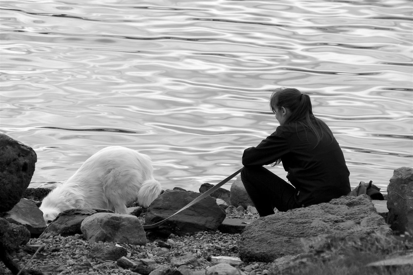 "I can see you!" ... Vancouver ... un.beobachtet ... ´15