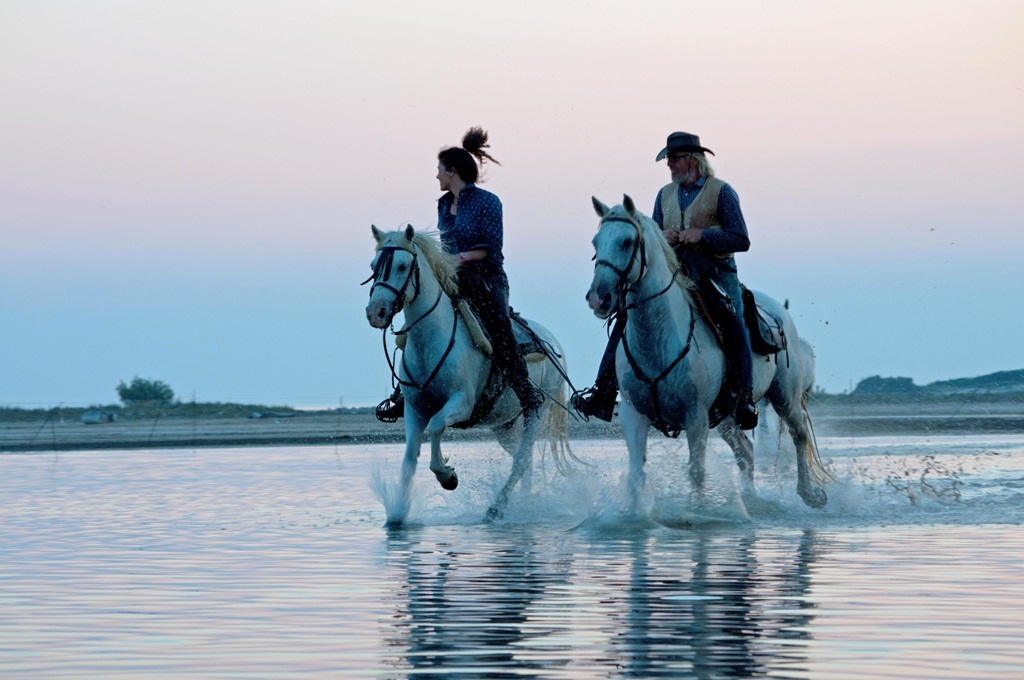 I cavalli bianchi della Camargue 5