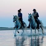 I cavalli bianchi della Camargue 5