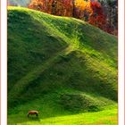 I cavalli delle Dolomiti 3