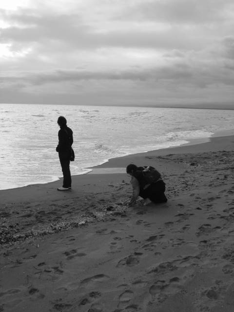 i centopassi sulla spiaggia........