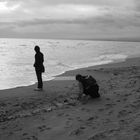 i centopassi sulla spiaggia........