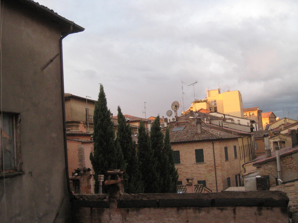 i cipressi del centro storico