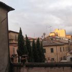 i cipressi del centro storico