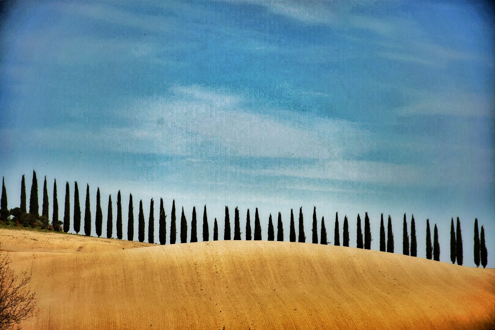 I cipressi della Val d’Orcia 