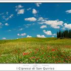 I Cipressi di San Quirico