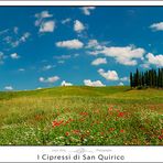 I Cipressi di San Quirico