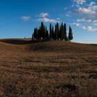 I Cipressi di San Quirico