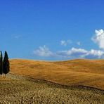 i cipressi più fotografati in Toscana