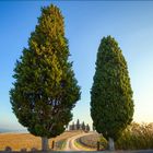 I Cipressini - ein Bauernhof vor Pienza