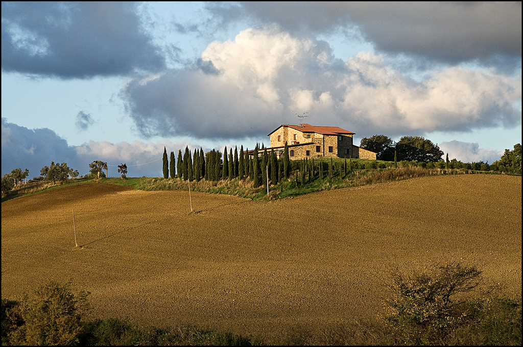 i colli di bolgheri 1