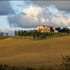 i colli di bolgheri 1