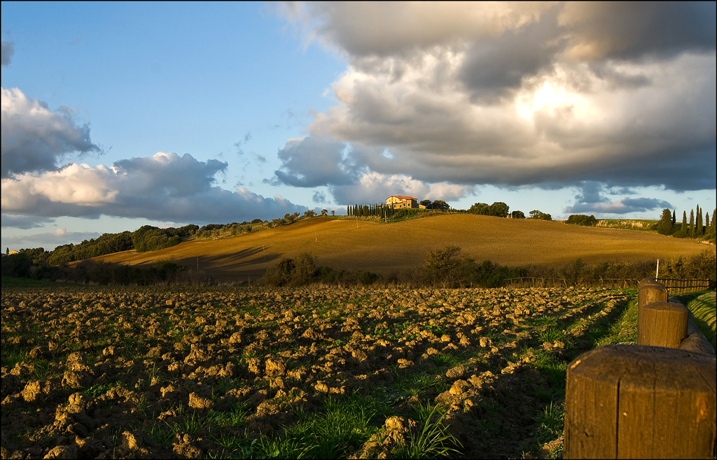 i colli di bolgheri 5