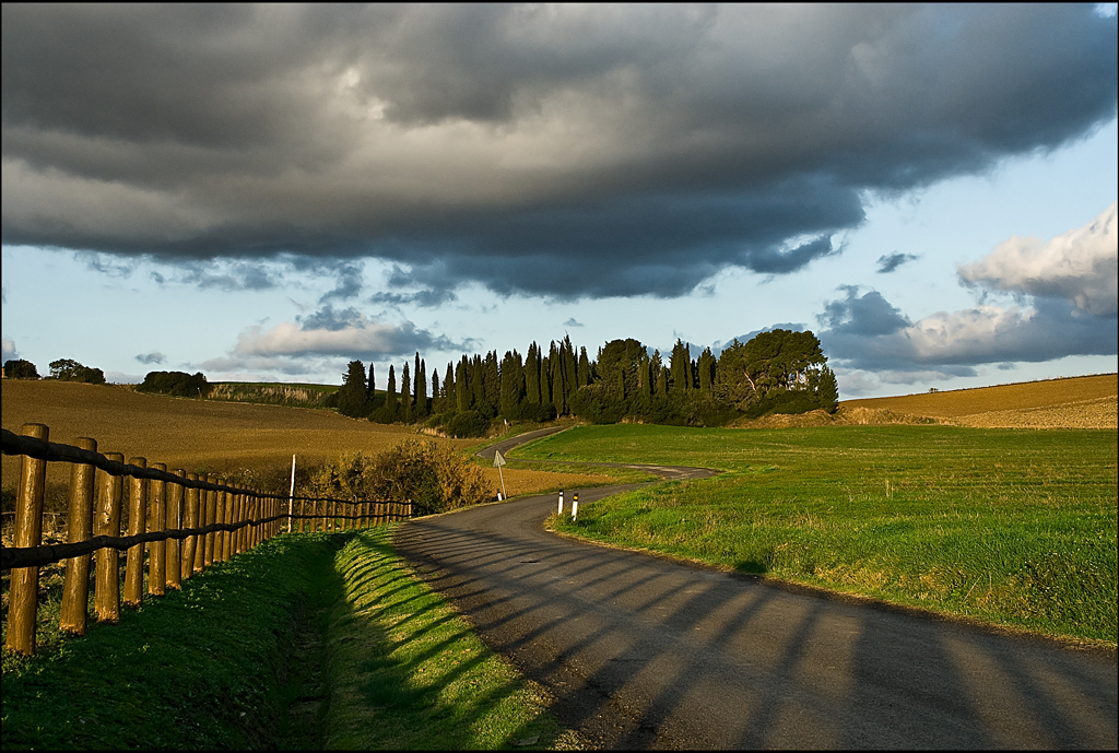 i colli di bolgheri3