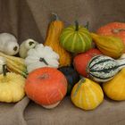 I colore della zucca