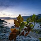 I colori autunnali sul lago