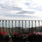 I colori dei ciclamini nel balcone della Loggia a Vasto