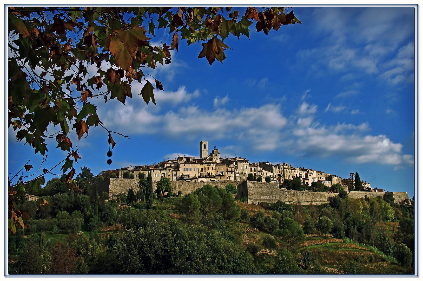 i colori del autunno ....