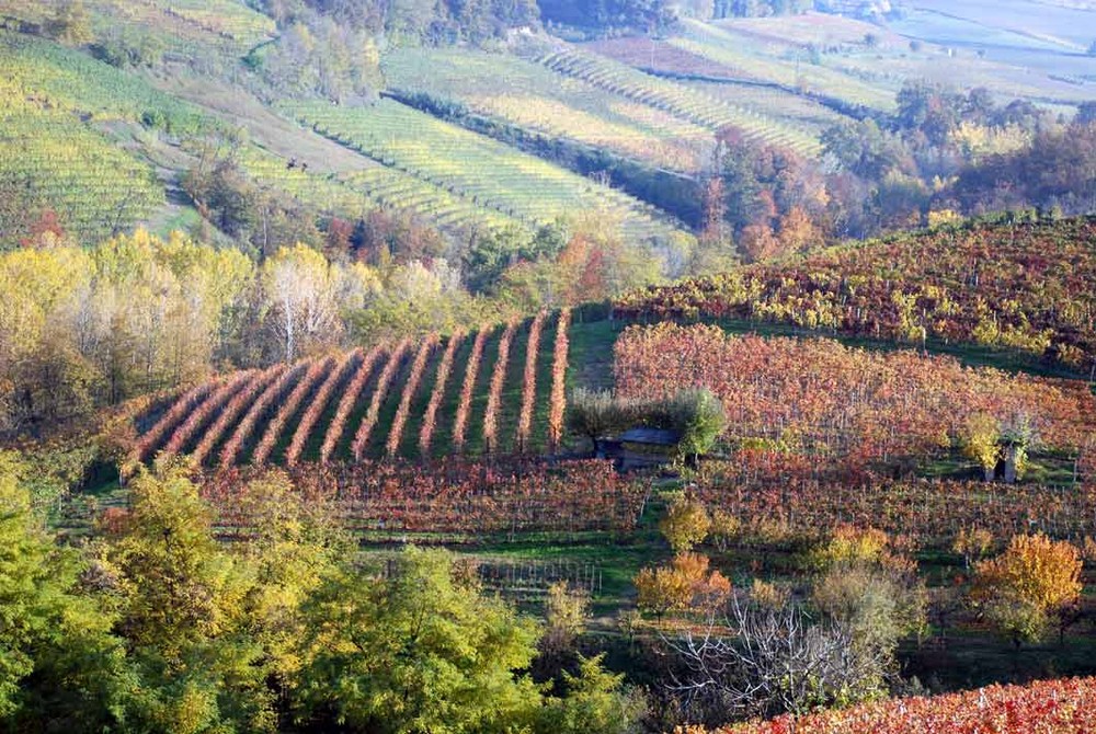 i colori del autunno