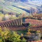 i colori del autunno