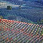 i colori del autunno langarolo 3