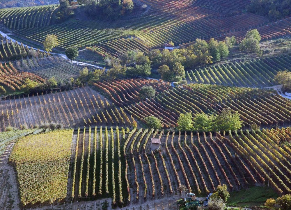 i colori del autunno langarolo 7