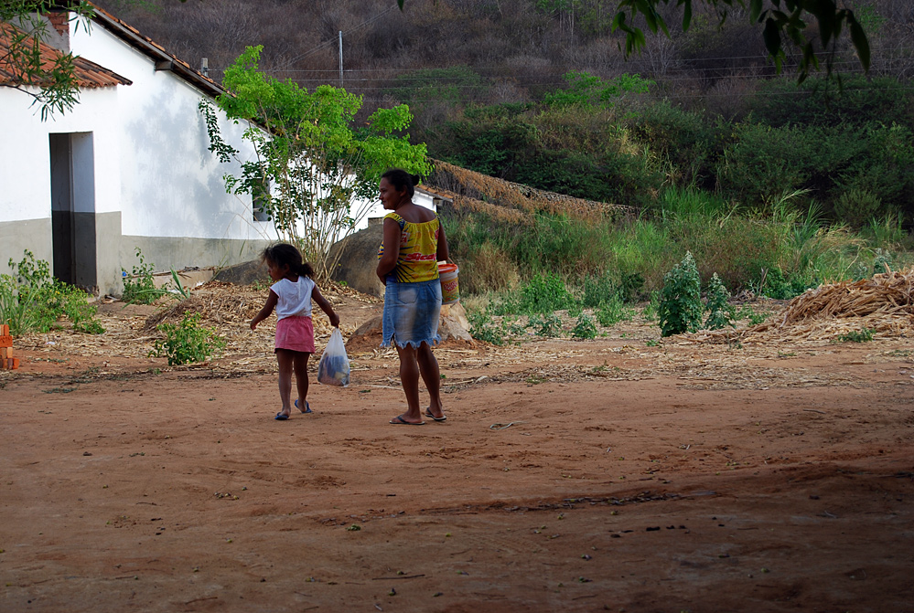 I colori del Brasil