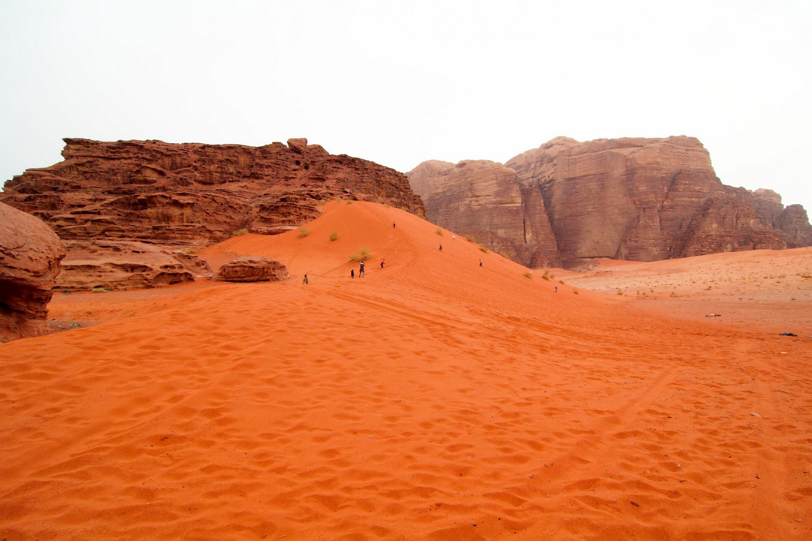 I colori del Deserto