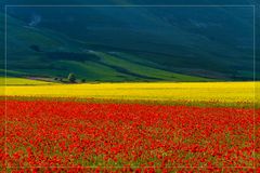 .....i colori del Paradiso....
