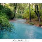 I colori del Parco Lavino