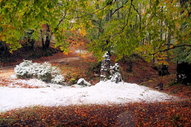 i colori dell' abruzzo